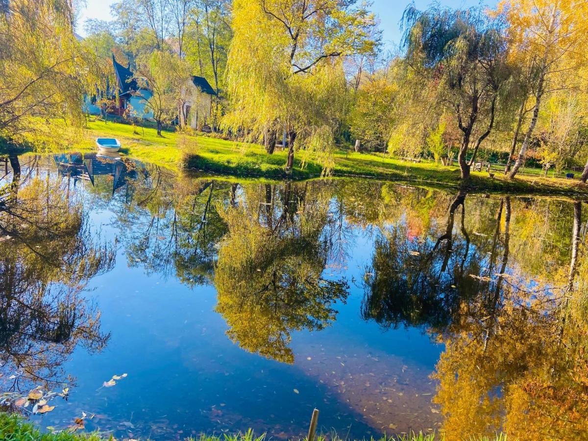 Viewtopia The Secret Land Valea Drăganului Extérieur photo