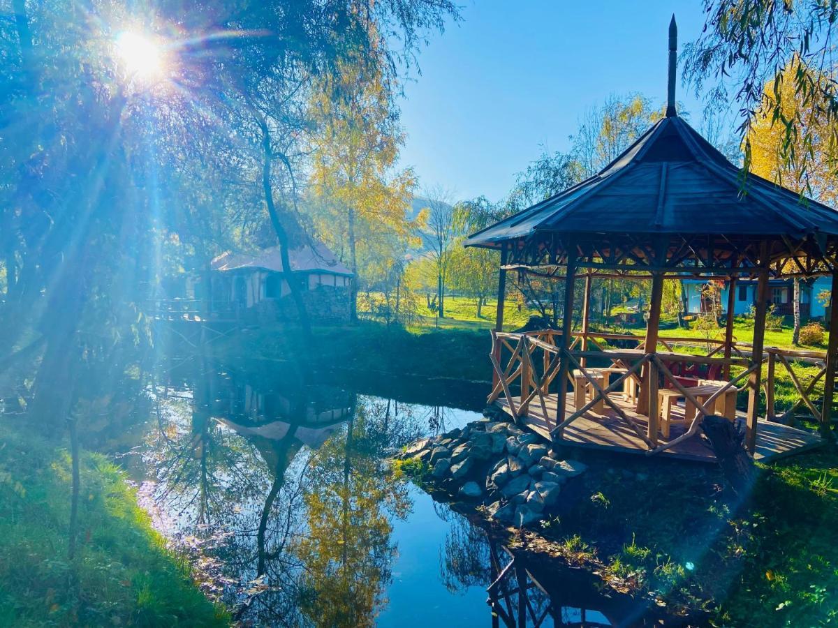 Viewtopia The Secret Land Valea Drăganului Extérieur photo
