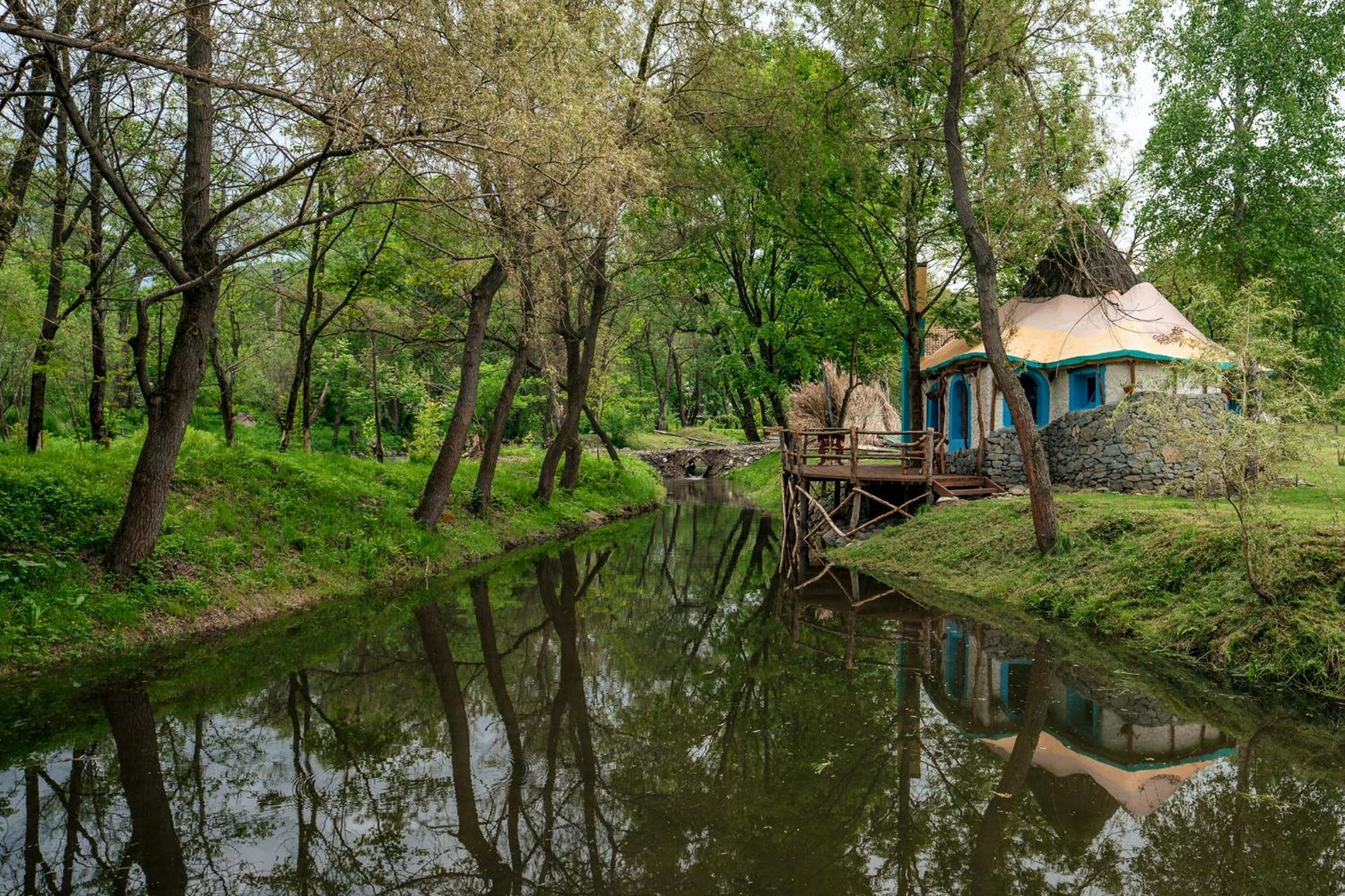 Viewtopia The Secret Land Valea Drăganului Extérieur photo
