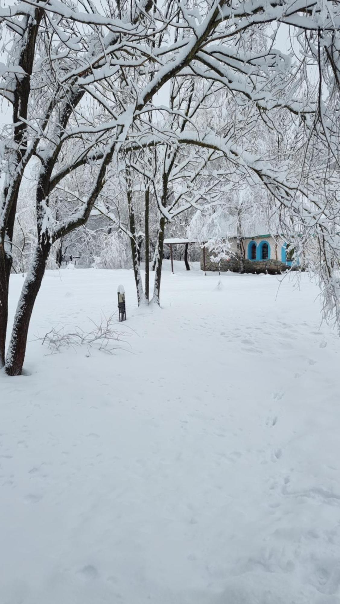 Viewtopia The Secret Land Valea Drăganului Extérieur photo