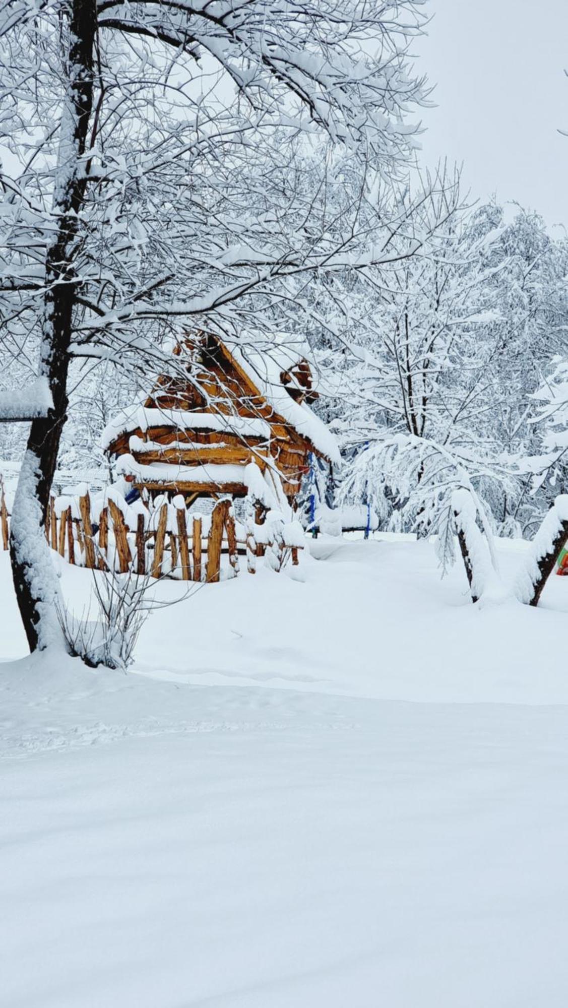 Viewtopia The Secret Land Valea Drăganului Extérieur photo