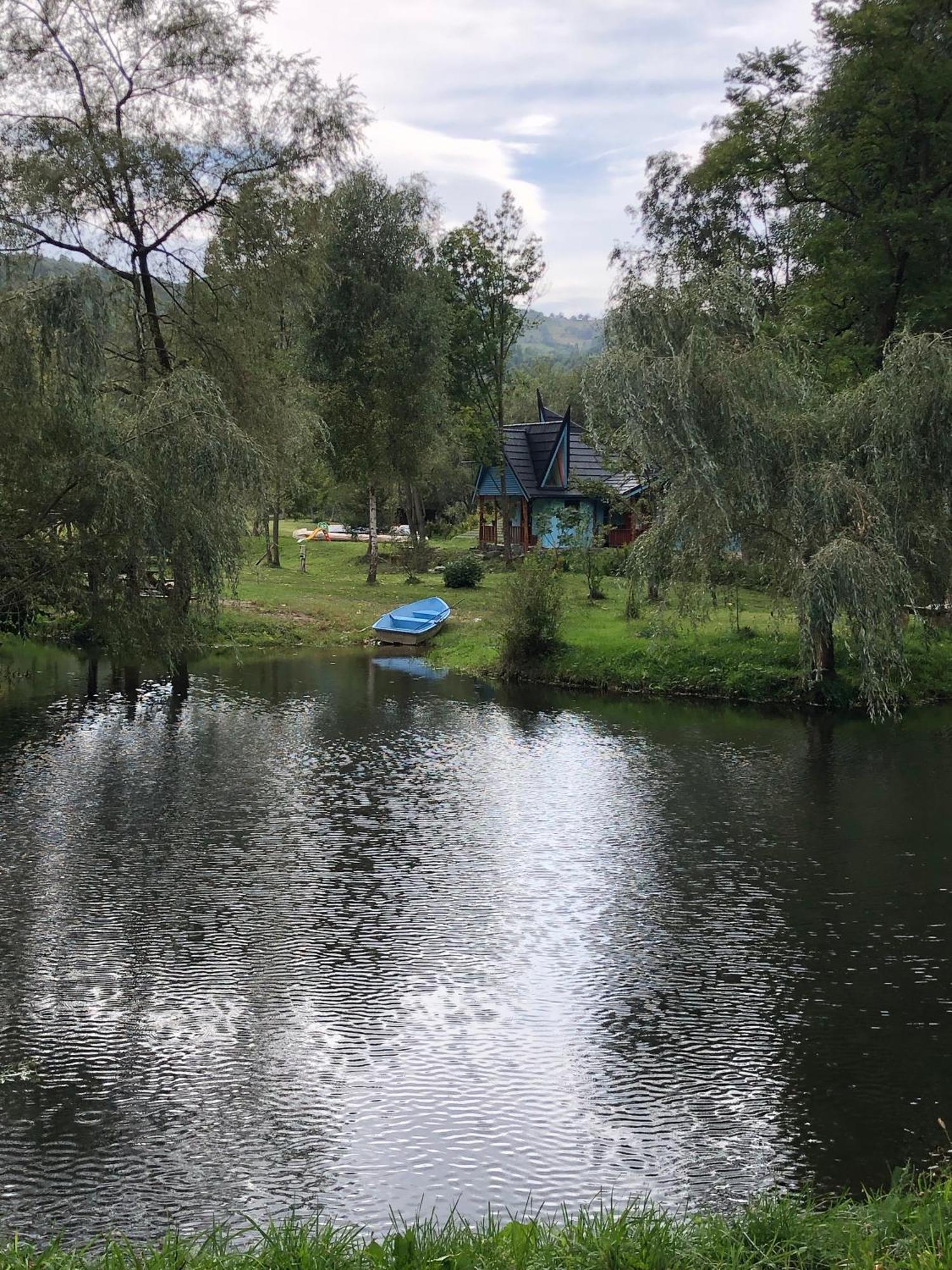 Viewtopia The Secret Land Valea Drăganului Extérieur photo