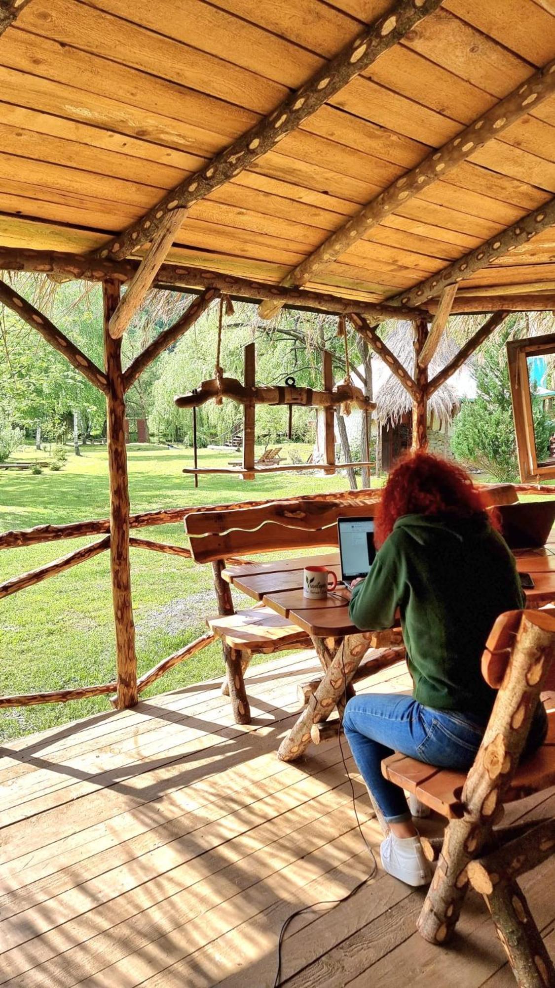 Viewtopia The Secret Land Valea Drăganului Extérieur photo