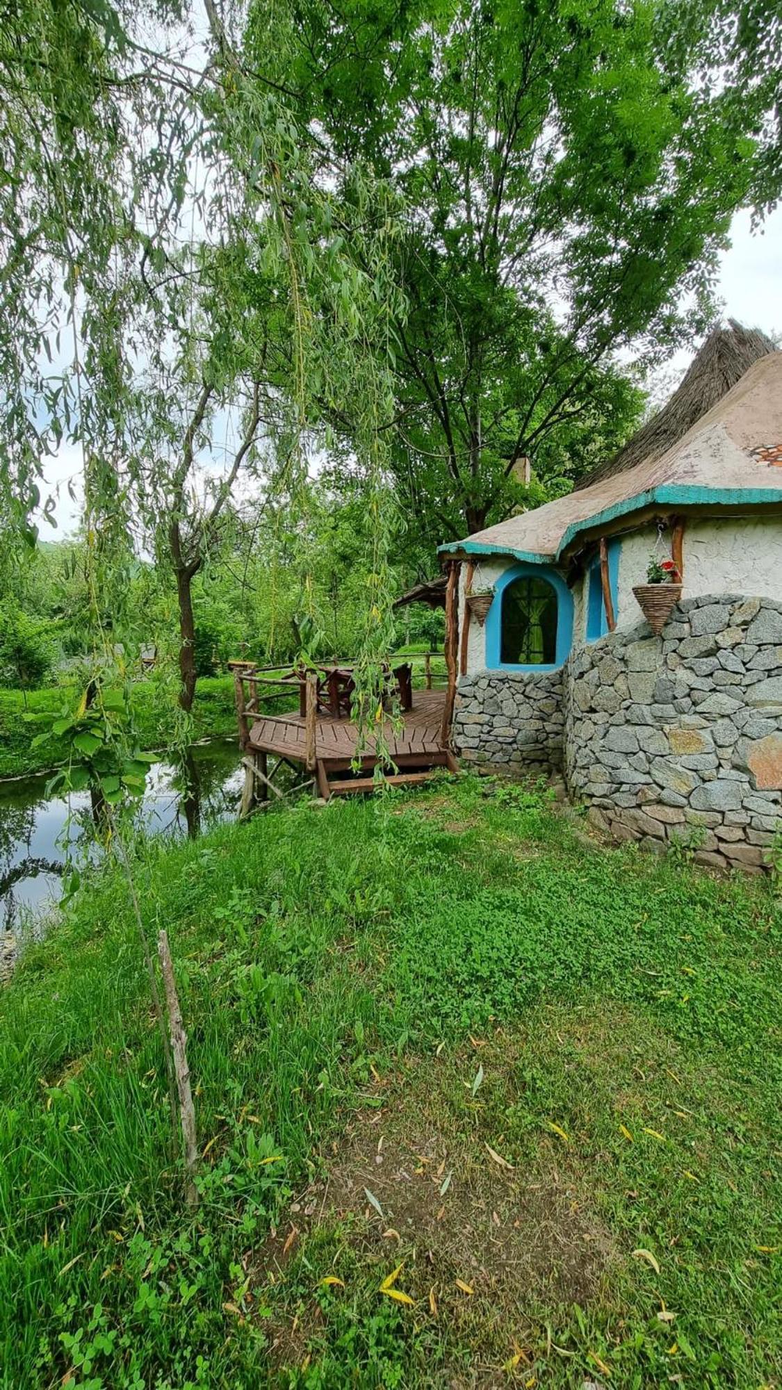 Viewtopia The Secret Land Valea Drăganului Extérieur photo