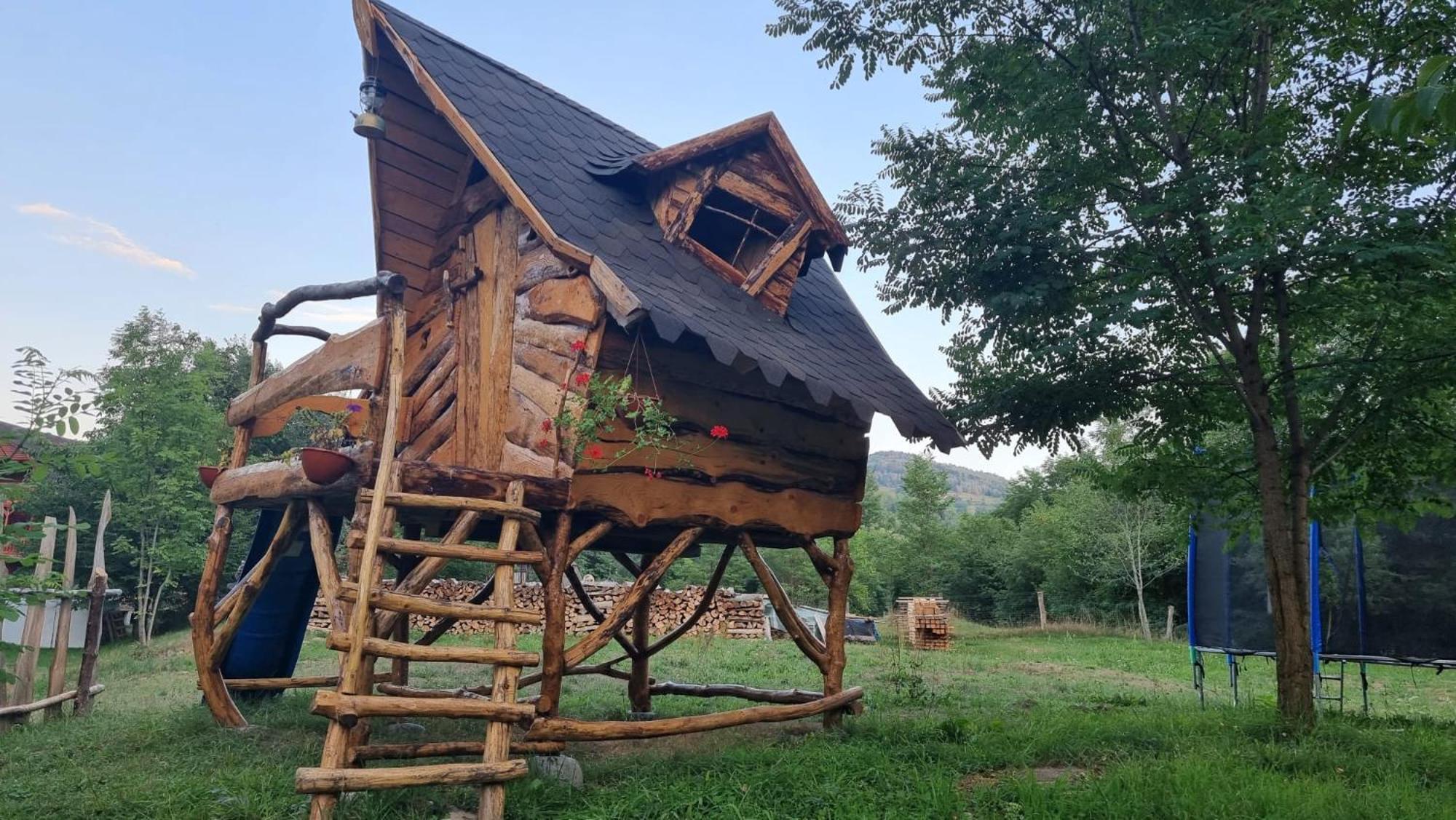 Viewtopia The Secret Land Valea Drăganului Extérieur photo
