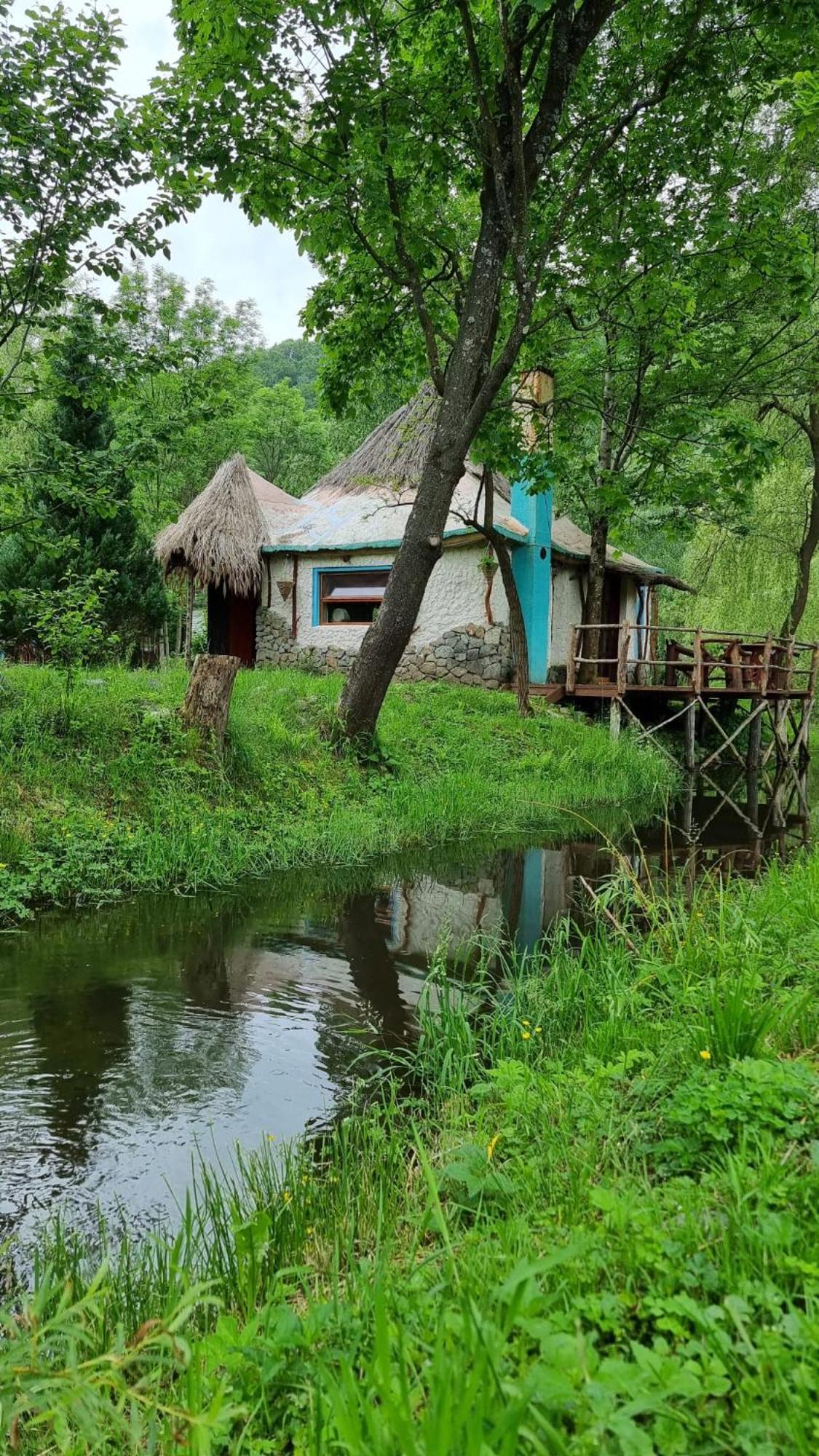 Viewtopia The Secret Land Valea Drăganului Extérieur photo