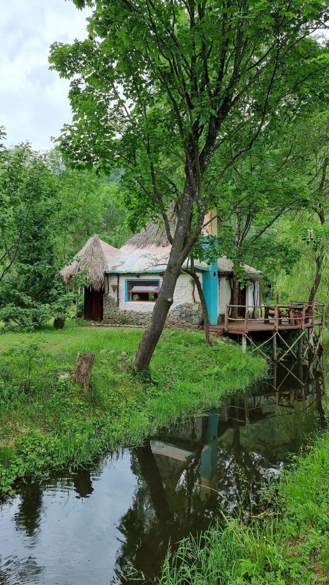 Viewtopia The Secret Land Valea Drăganului Extérieur photo